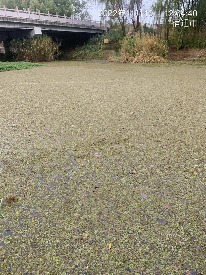 结交天下钓友分享钓鱼人生,跟朋友一起钓鱼技巧