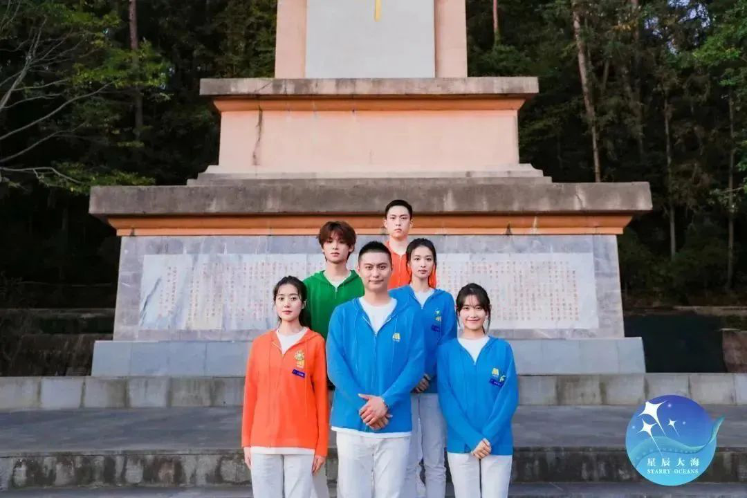 中国电影金鸡奖星辰大海,星辰大海电视连续剧