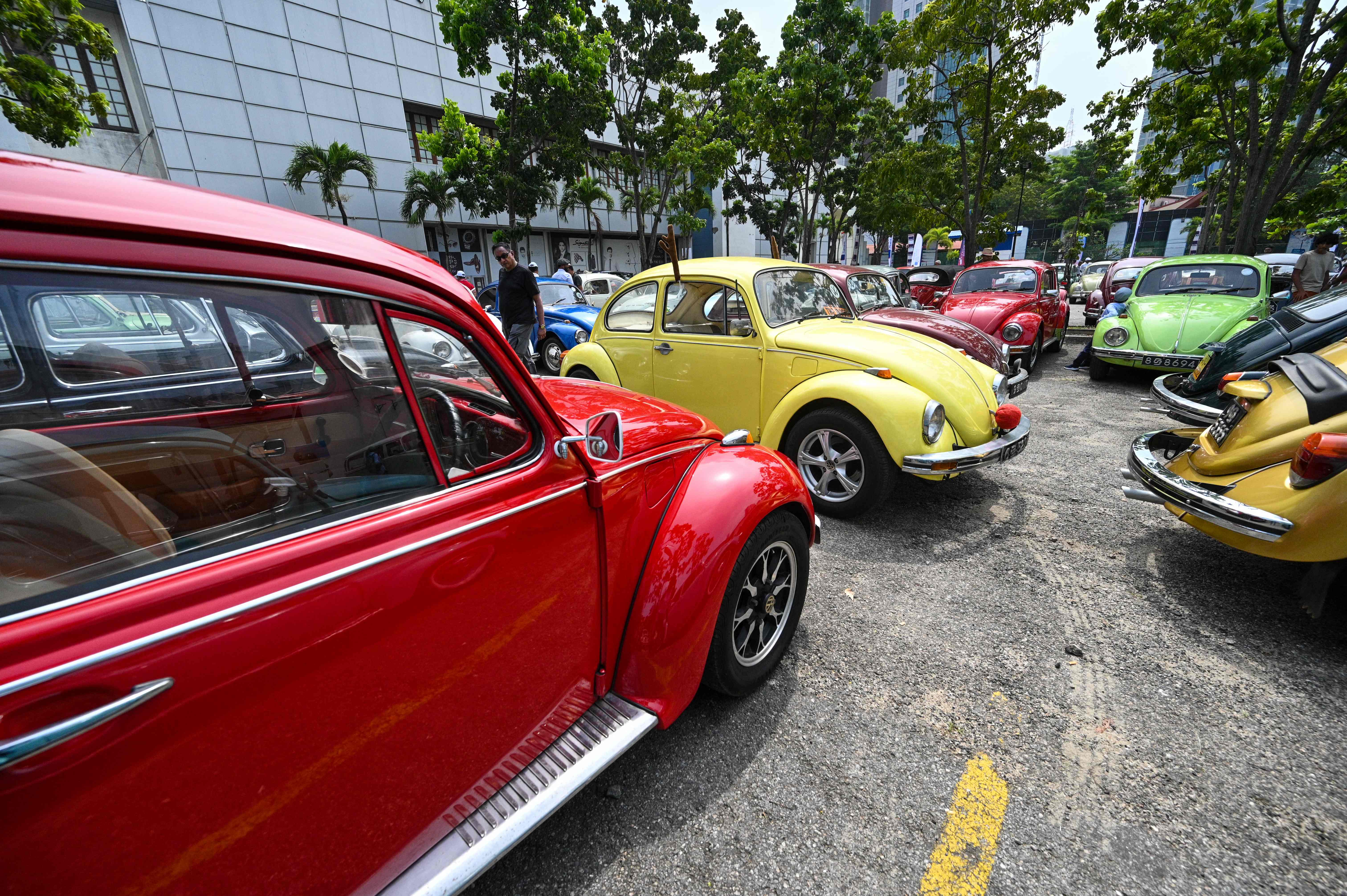 芬兰甲壳虫,甲壳虫国外