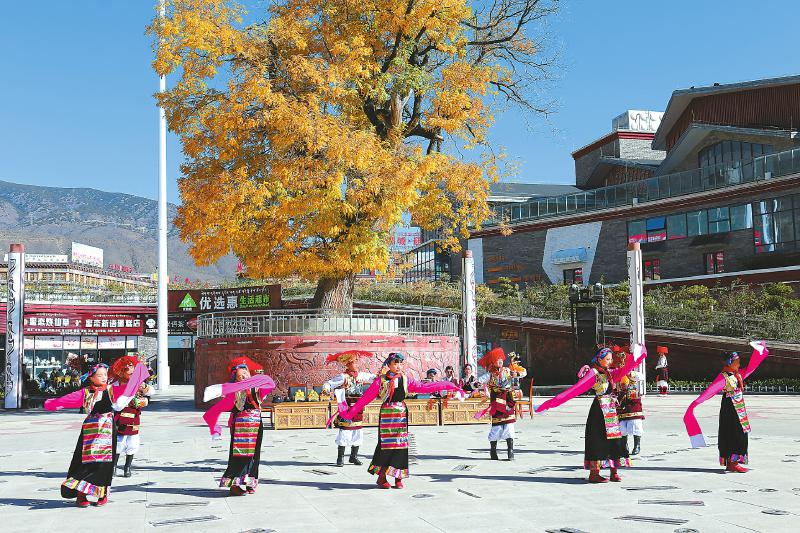 马术课进入校园了吗,小学开设马术课