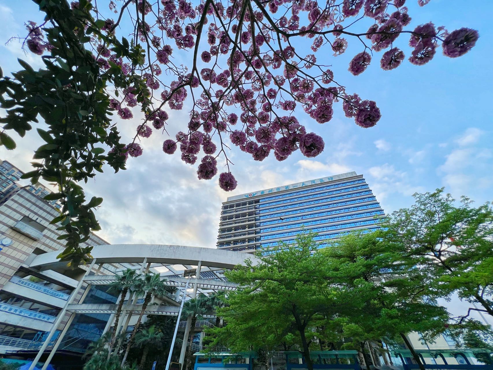 破与立与经济高质量发展,医院六大中心建设纪实