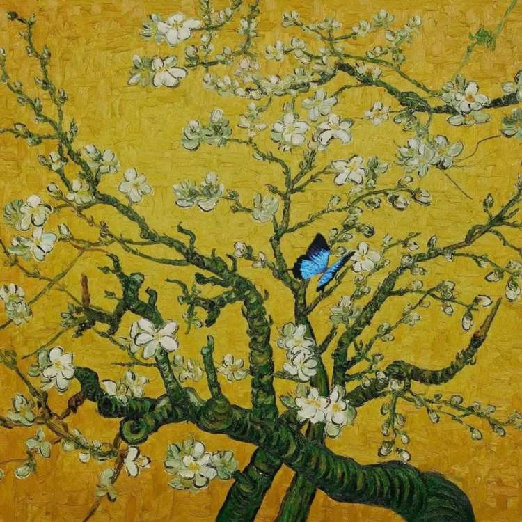 日本足球7:0胜中国,日本逆袭足球