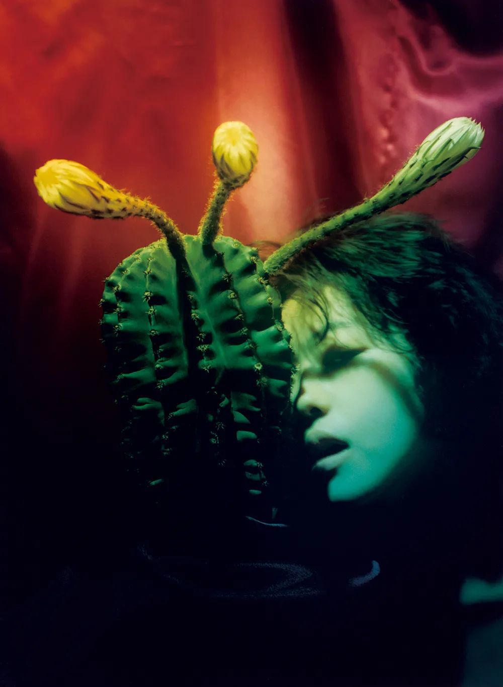 摄影收藏,摄影作品有收藏价值吗