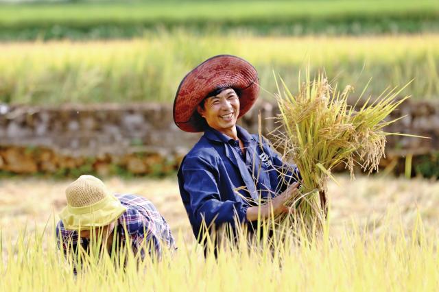 拼多多改革供给侧,拼多多三季度营收同比增长7倍