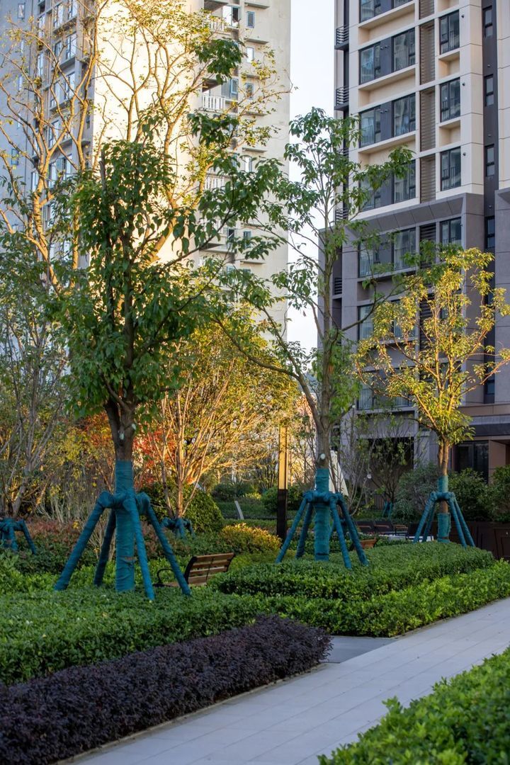 石家庄万科翡翠公园业主集体退房,万科翡翠公园2017开盘的房子