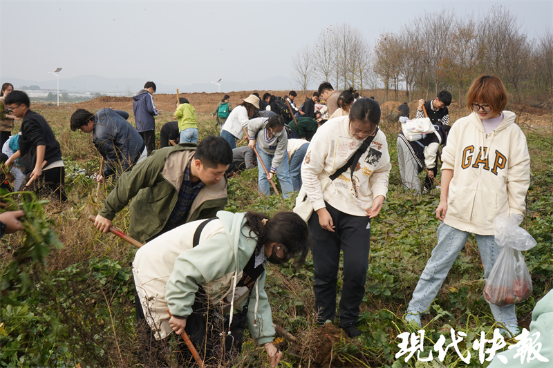 南农大作物耕作学,南农大参观