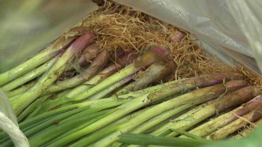 线上配送蔬菜,线上蔬菜批发配送