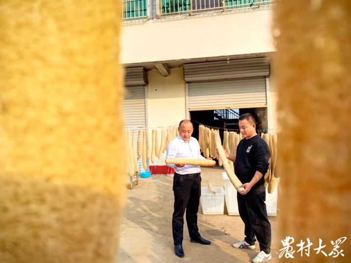 新丝路白玉丝瓜,丝瓜种植年收入8000万