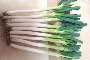 你好幼儿园主题活动方案,你好幼儿园活动