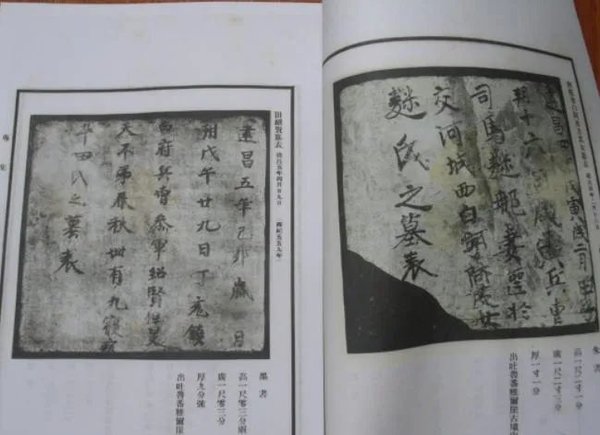 历史怎样证明西域是中国的领土,阐述新疆自古属于中国的史实