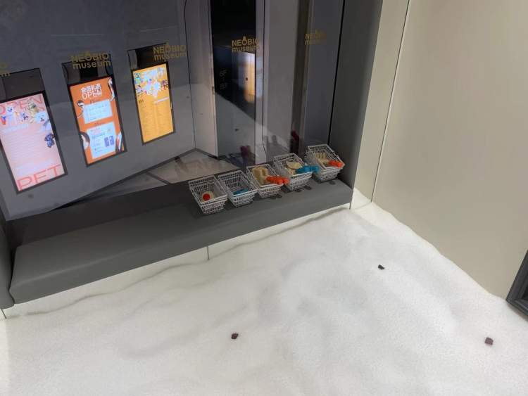 操作水力工厂、玩转特斯拉线圈……商场里开了个三层楼的沉浸式体验科技馆丨晨看展