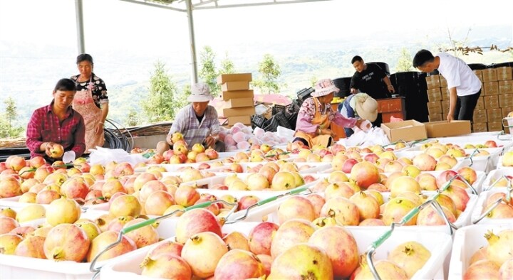 沪滇结对帮扶情况,山海情深结对帮扶