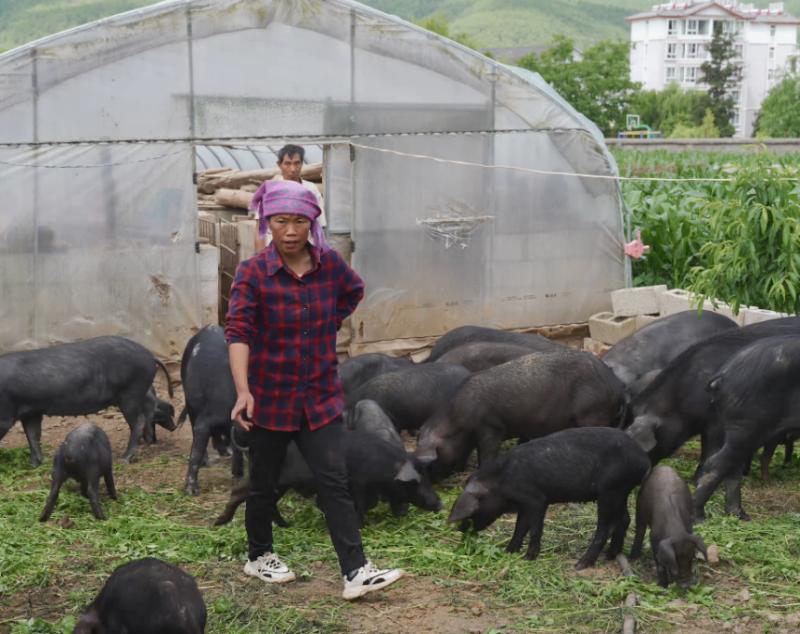 把准致富“本手”“妙手”著好联农带农文章