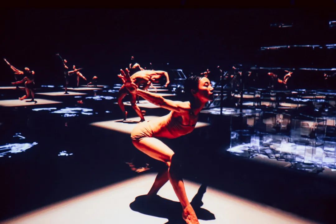 身体为媒，联结万物：五位舞蹈与行为艺术家的创作、行动与意识流｜“创意赋能”论坛回顾