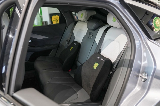 国安极狐,极狐与国安