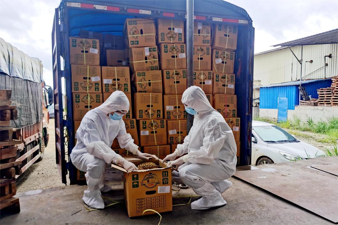 海关总署发布2022年缉私十大典型案例