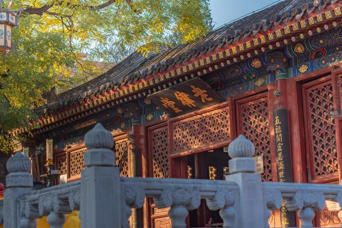 触乐问触乐·兔年篇