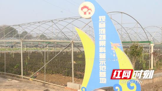 返乡创业新农人逐梦乡村田野,返乡创业三农新农人