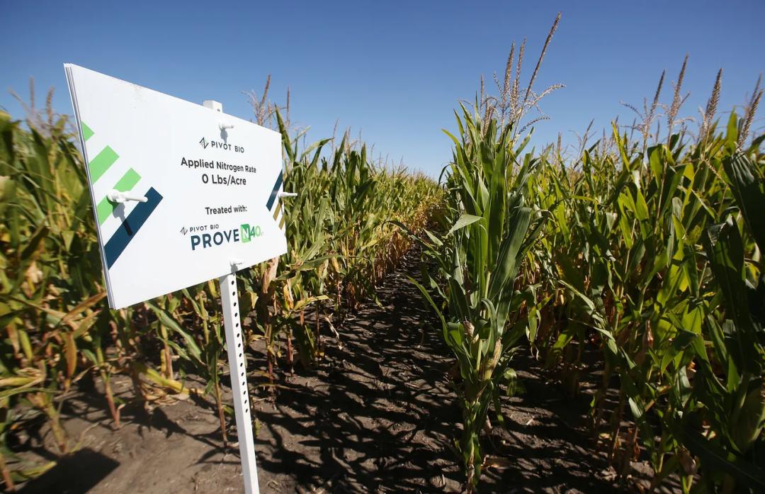 只知道ChatGPT?金沙江创投2023科技投资展望:五大趋势,19家全球创新公司巡礼