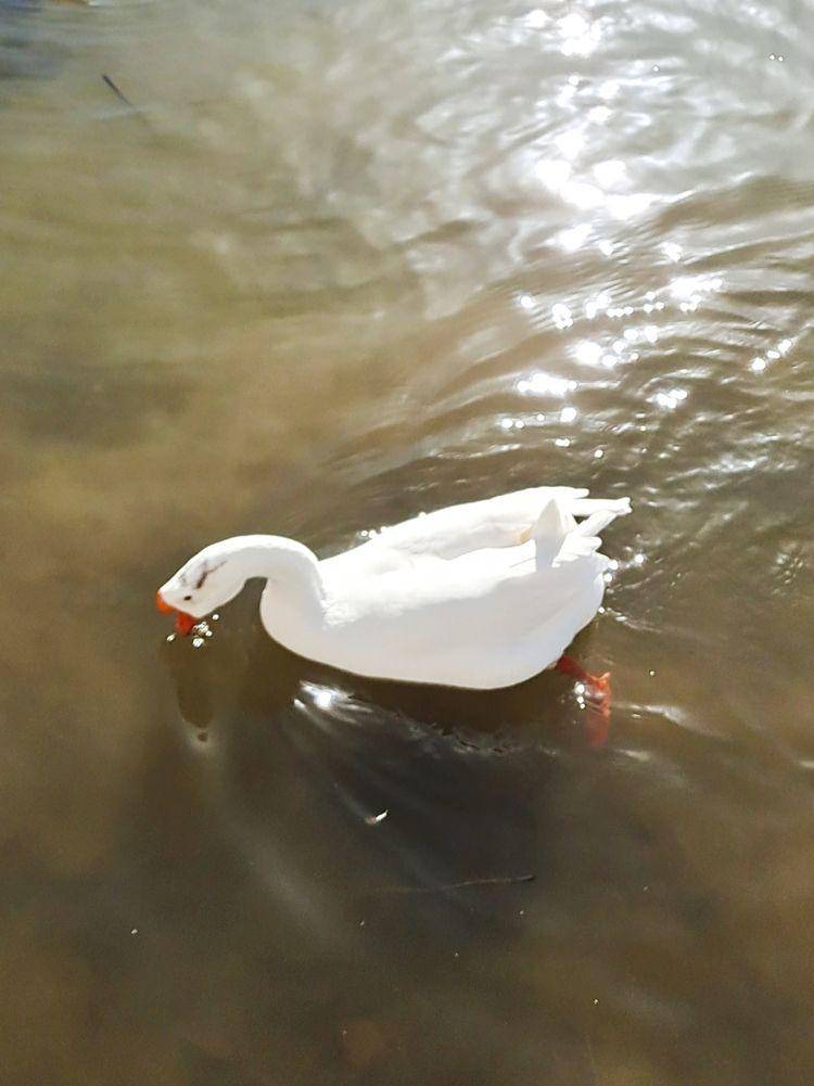 东北河流开冻,七九河会冻开吗