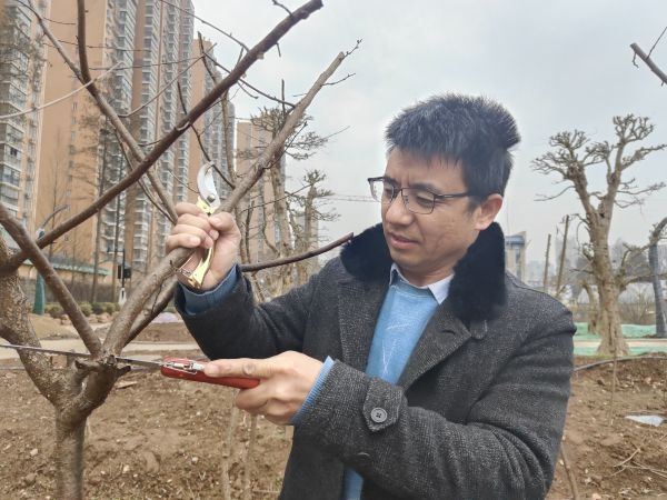 在樱花校园怎么找到自己的老家,樱花最开始的初始地是哪里