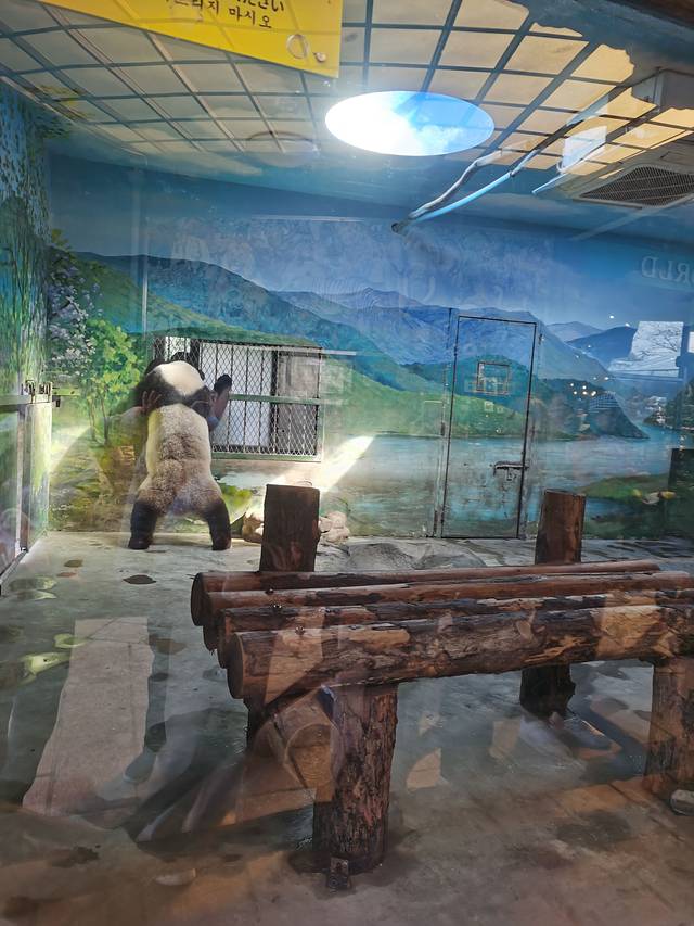 上海4天游玩小孩攻略,带娃上海3天2晚旅游攻略