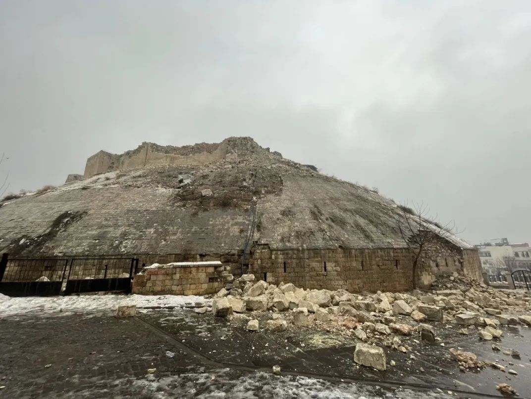 维米尔画展,荷兰维米尔展