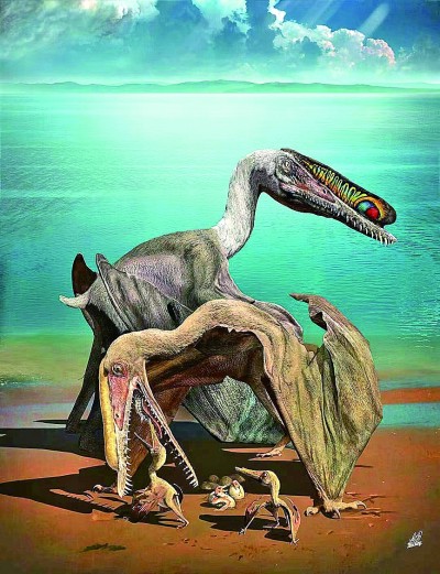 翼龙是怎么飞翔的,翼龙吹着风翱翔在天空