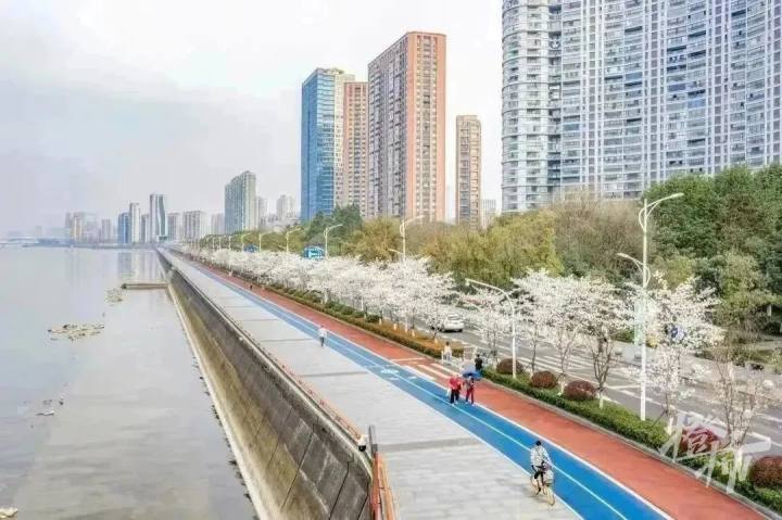 杭州出发郊外骑行路线推荐,杭州龙井骑行路线推荐