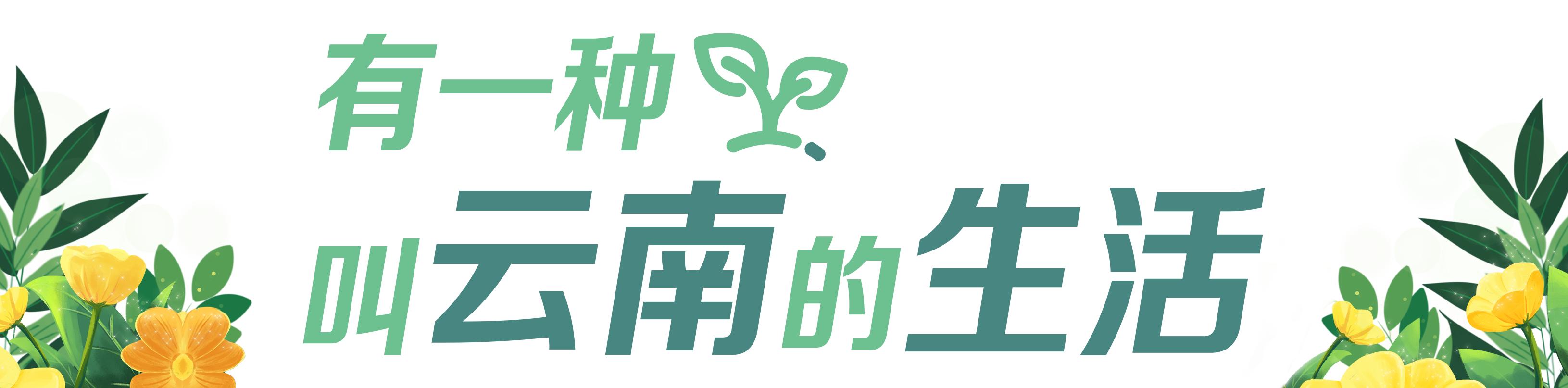 有一种云南的生活叫昆明,有一种云南生活叫西双版纳