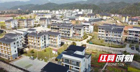 茶乡花海：十三乡融出一个村花海里同唱一首歌