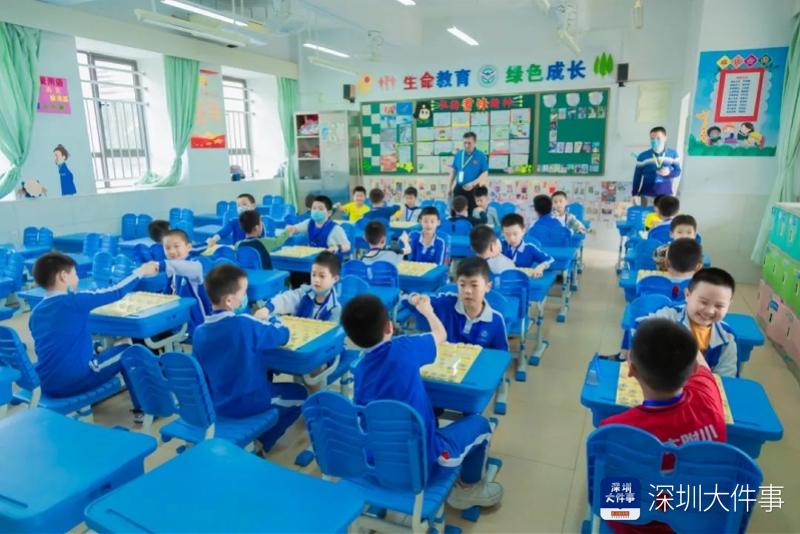 校园棋类大赛,方寸之间智慧