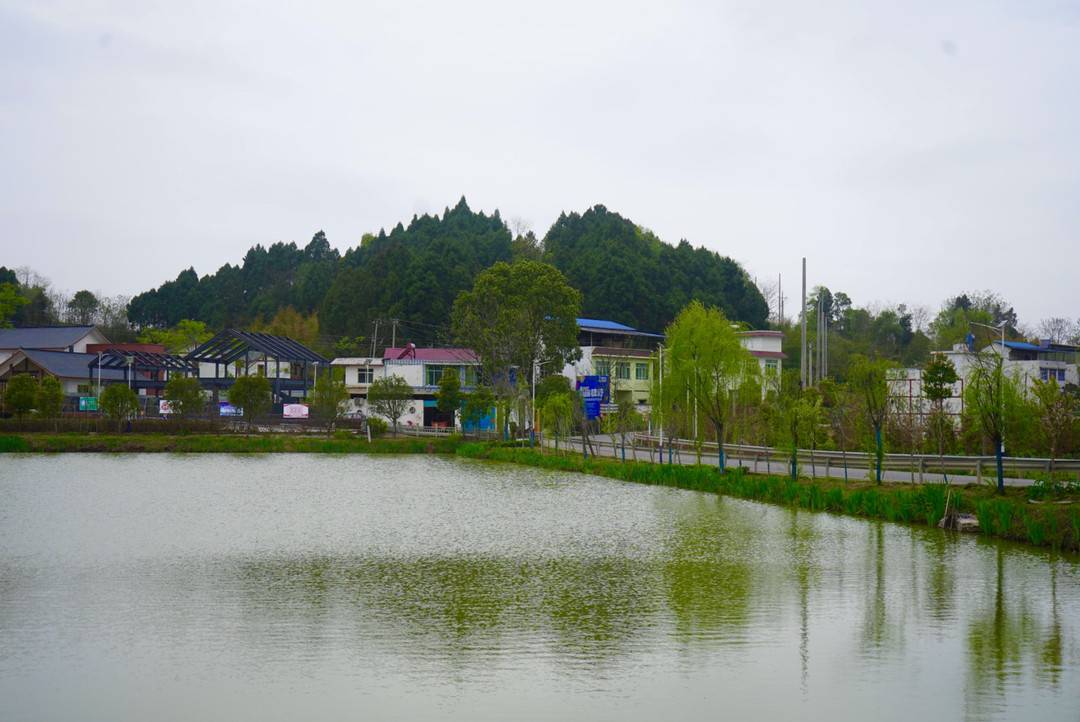 成都市简阳在全国百强县排名,成都简阳百强乡镇