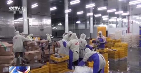 涉嫌骗取出口退税6千万该判几年,最新骗取出口退税案