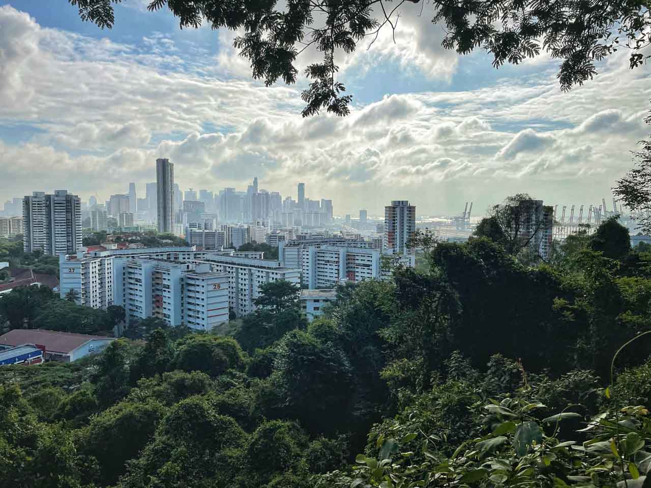 新加坡一座花园城市,新加坡全球花园城市