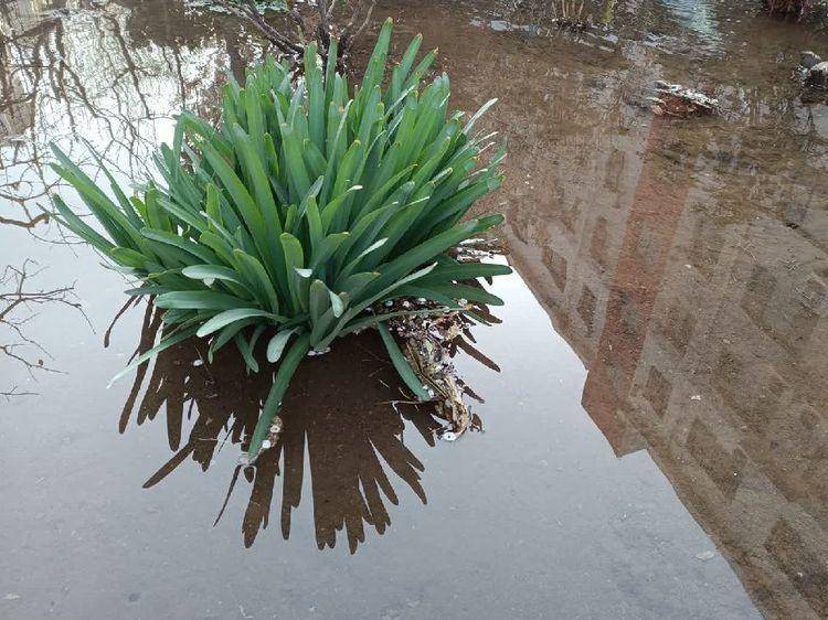 古诗长相思诗句,长相思两首诗词