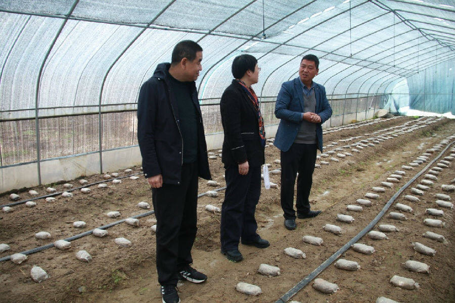 金融活水产业花开,金融活水助推消费活力释放