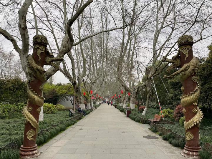 杭州出游免门票推荐,杭州游玩怎样免门票