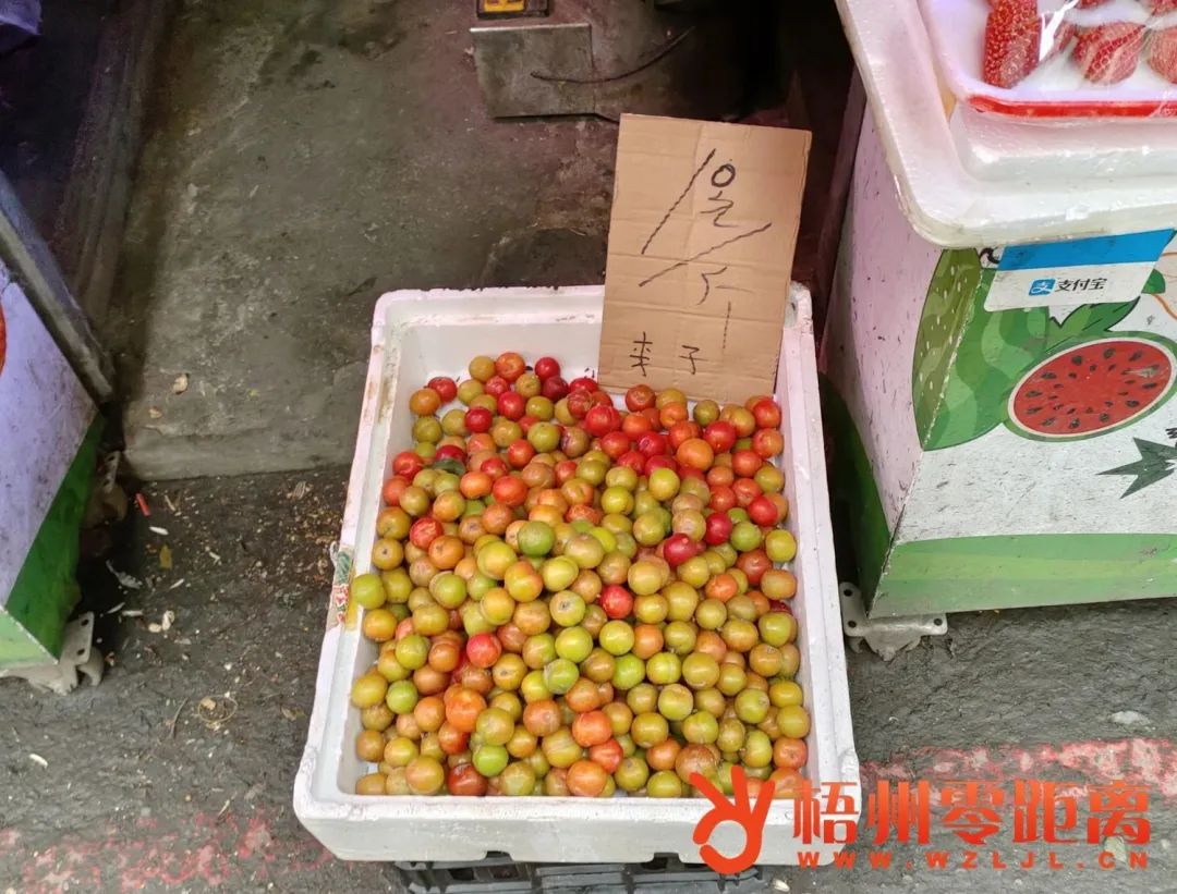 李子多久上市,李子上市时间