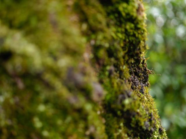 新品丨三镜齐发，17mm、50mm、23mm灵动登场！