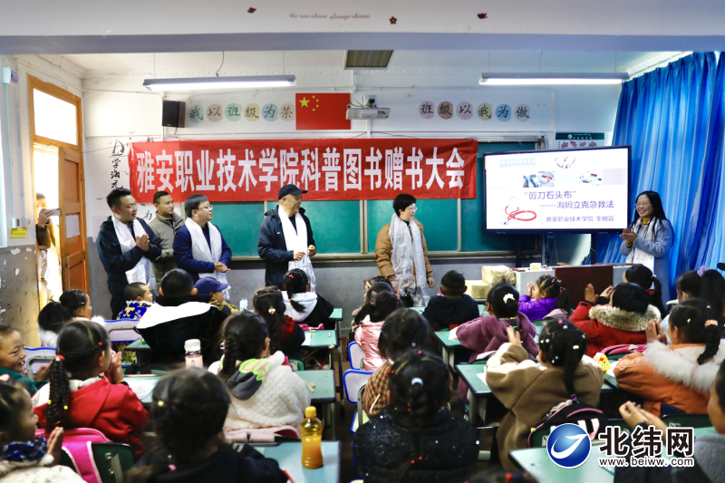 短腿安吉拉,安琪拉实力