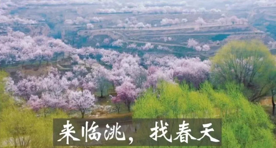 临洮县体育场小学篮球比赛,兰州临洮街小学生足球比赛