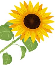 教育路上，爱与责任同行：记临洮县椒山小学王娟老师