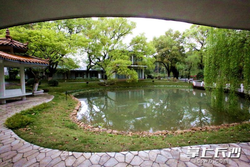 芳草园手绘地图,芳草优美落英缤纷图片