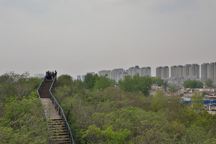 郑重其事纪录片,郑重其事深度解析