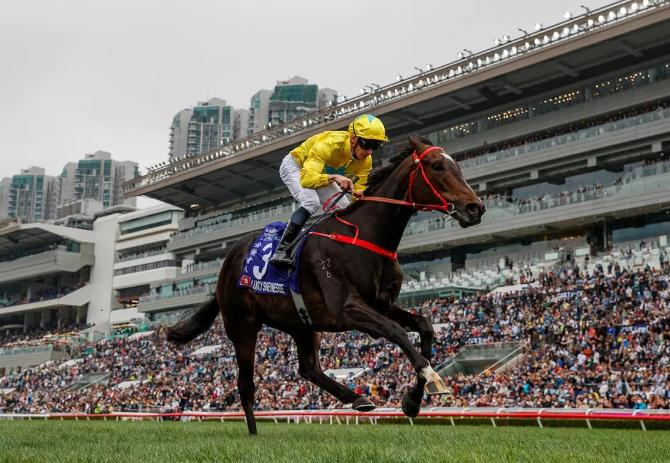 最多外队马参赛的一届，谁将称霸2023富卫保险冠军赛马日？