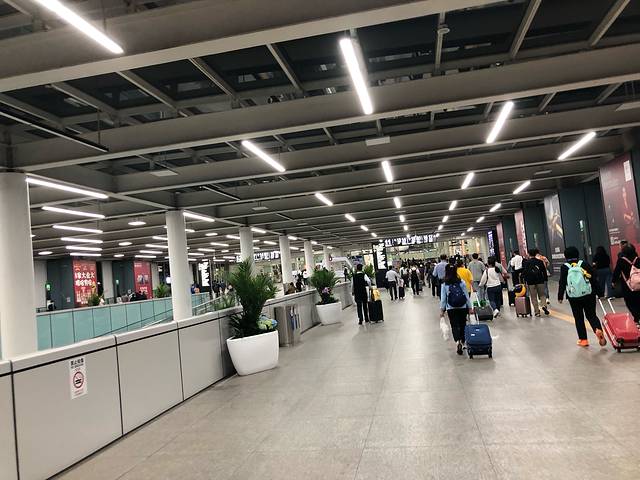 香港澳门旅游攻略5天4晚直播间,香港澳门六日游价格表四月份