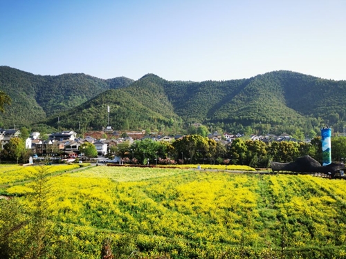 沿着总书记足迹访民生丨余村：用绿水青山搭起共富大舞台