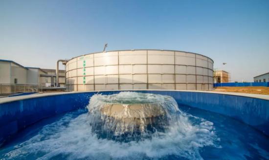 金锣健食力助推健康饮食新常态,金锣发展过程中如何推动前进