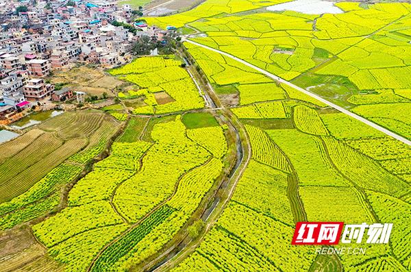 持续抓好农业强县,持续打造农业强县